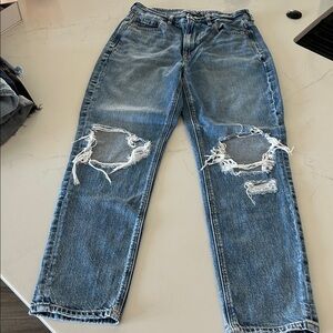 American Eagle Strigid Ripped Mom Jeans